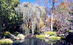 Gibb's Gardens
