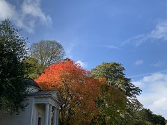 Late Autumn, Kew Gardens, London