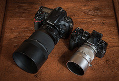 Nikon D600 (2012)  / Olympus OM-D E-M1 Mark II (2016)