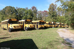 9sb19's Bus Collection