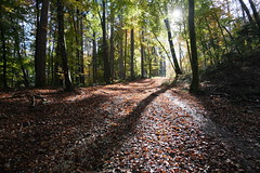 Hike to Sentier des 3 Croix (Autumn 2021)