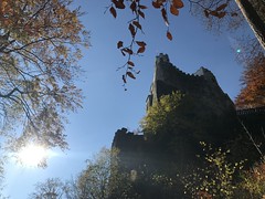Burg Grimmenstein 1.11.2021