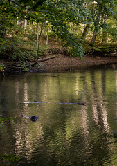 2021-09-17 Mohican State Park