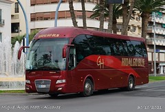 Hidalgo Bus
