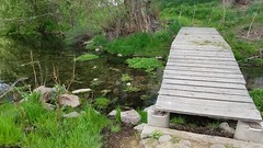 Spring Creek Footbridge