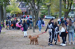 Halloween In Hawthorne Park