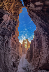 Cathedral Gorge 2021