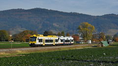 D - Oberrhein/ Breisgau