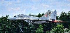 Forces - Polish Air Force