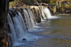 Sycamore Falls at Ridley Creek 11-06-21