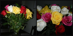 Just Because Roses Bouquet, Nov.'21
