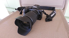 My Nikon Z5 Mirrorless