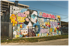 Miami Street Art (Wynwood, Miami, Florida)