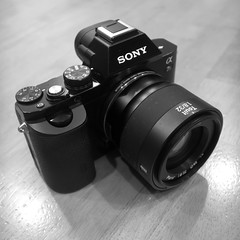 Sony A7S +  Carl Zeiss Touit 32mm f/1.8 Lens