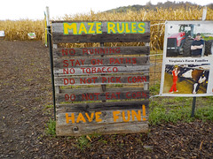 A Visit To The Crab Orchard Corn Maze Tazewell, VA October 2021.