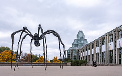 Contemporary Art at the National Gallery of Canada