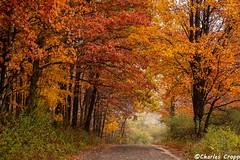103121 Preston County Fall Colors