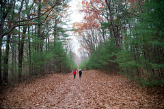 A mid Autumn nature hike at Fawn Lake