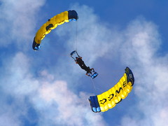 Skydiving/Parachute Teams