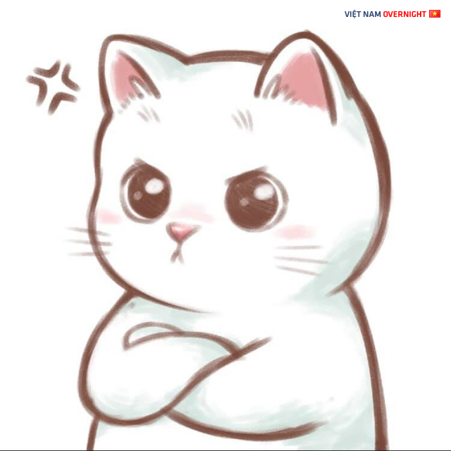 100 Hình ảnh avatar đôi mèo cute dễ thương đẹp nhất