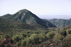 Sugarloaf peak