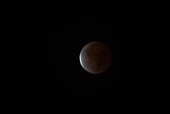 Lunar Eclipse 11/19/21