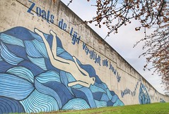 Mural "Fiere Margriet" from artists Stina De Roeck & Warsnoes