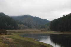 Cooper Creek Reservoir (11/17/21)