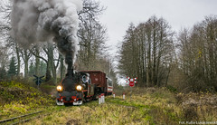 Pociąg specjalne na wąskim torze / Special trains on narrow gauge tracks