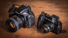 Nikon D810 (2014) / Olympus OM-D E-M1 Mark II (2016)