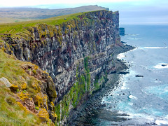Látrabjarg cliffs, Westfjords, Iceland_2021