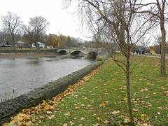 Walk in Royal Park, P1, Nov.21'21