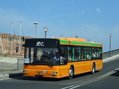 DE PETRA Viaggi Pontedera (PI) buses