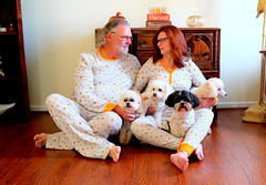 Thanksgiving Jammies with the Dogs