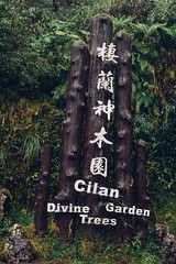 棲蘭神木園 (Cilan Divine Trees Garden)