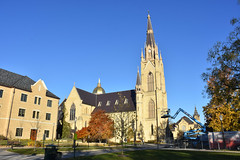 Basilica of the Sacred Heart - Notre Dame