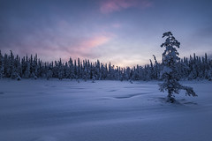 Landscapes of the Russian North