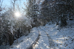 Winter hike from Le Bourget-du-Lac to La Motte-Servolex