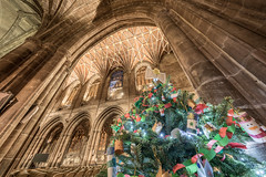 Chester Cathedral, Christmas Tree Festival 2021