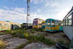 Old Trams