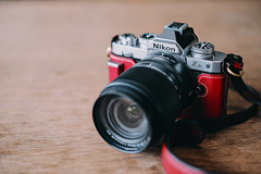 [Nikon Z] NIKKOR Z Dx 18-140mm f/3.5-6.3 VR