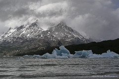 Patagonien, Patagonia