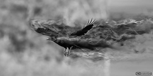 Myth of the Crow v1 - 2021 - (B&W-HQ)