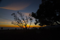 Sunset Pacific Palisades 121121 