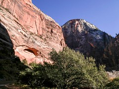 Zion NP late 2021