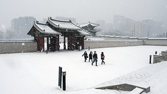 Another Winter's Tale (Korea 2021-22)