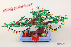Christmas Bonsai