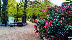 Botanical Garden in Wrocław. Part 1.