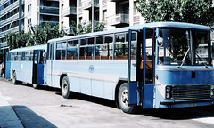 Italy Buses