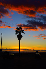 Sunset Santa Monica Beach 122821